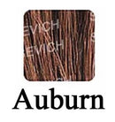 10 teile/los 25g Sevich Haar Gebäudefasern Styling Farbe Pulver Verlängerung Keratin Ausdünnung Haar Dicken Verlust Spray Behandlung