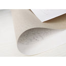 CHENISTORY Rahmenlose Katze Tiere DIY Malen nach Zahlen Kits Einzigartiges Geschenk Bild nach Zahlen für Wohnkultur 40 x 50 cm Wandkunstwerk