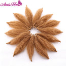 Amir Soft Afro kinky Curly Twist Trenzas Crochet Hair Extensiones de cabello trenzado sintético para mujeres negras / blancas