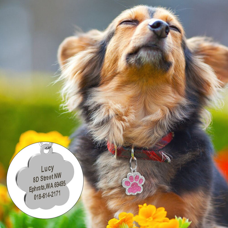 Etiqueta de perro personalizada, accesorios de Collar de perro mascota grabado, etiqueta de identificación de cachorro de gato, colgante de etiqueta con nombre de pata de acero inoxidable, antipérdida