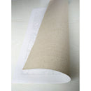 CHENISTORY Rahmenlose Katze Tiere DIY Malen nach Zahlen Kits Einzigartiges Geschenk Bild nach Zahlen für Wohnkultur 40 x 50 cm Wandkunstwerk