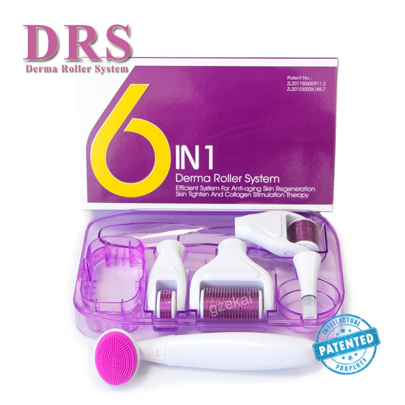 Derma Roller Micro Needle Roller Kit 6 In 1 Microneedling Roller for Eye Face Body Skin Beauty Dermaroller Rejuvenation