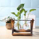 Glass Wood Vase Planter Terrarium Table Desktop Hydroponics Plant Bonsai Hanging Flower Pot with Wooden Tray Home Decoration