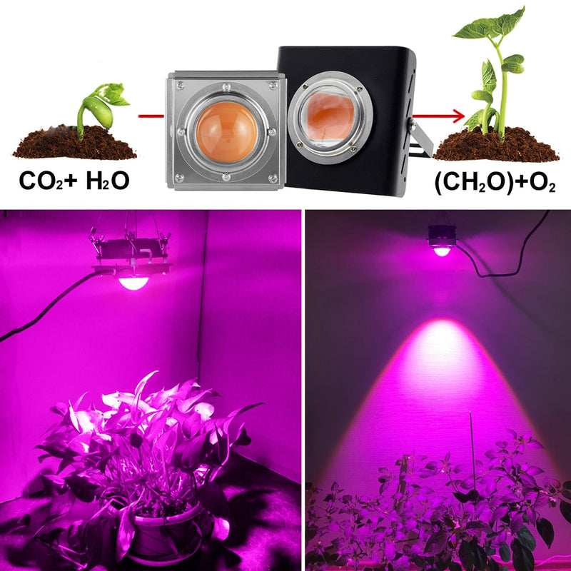 Full Spectrum COB Grow Light 300W High Luminous Efficiency Growing Lamp for Plants COB Phytolamp for Indoor Grow Box Greenhouses