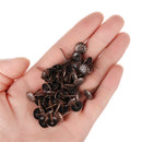 100 Stücke Gold Messing Dekorative Nägel Reißzwecken Angewandte Schmuck Geschenkbox Tisch Pins Möbelbeschläge Holzbearbeitungswerkzeug 11X16Mm