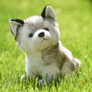 20-30cm cute husky dog plush toy wolf soft stuffed animal cute plush kawaii children doll fluffy birthday gift child boy WJ131