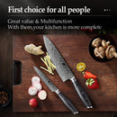 XINZUO 2-teiliges Küchenmesser-Set, 67 Lagen Damaskus High Carbon, 20,3 cm Koch- und 12,7 cm Allzweckmesser, Edelstahl mit Pakkawood-Griff