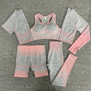 Women 2/3/5pcs Yoga Set Running Seamless Gym Workout Short Sleeve+Top Sport+Leggings+shorts+bra Fitness Suit Yoga Suit