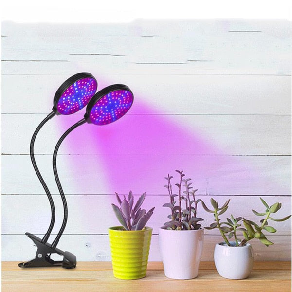 Phyto Lamp Timer Full Spectrum USB Grow Light Lamp For Plants Full Spactrum Lights For Plants Garden Flowers Herbs Grow Box