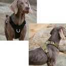 Truelove, arnés impermeable para perros, ligero, duradero, de nailon, chaleco para perros, arnés reflectante ajustable para perros pequeños y grandes