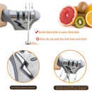 Knife sharpener Whetstone 4 in 1 Diamond Coated&Fine Rod Knife Shears dolphin handle