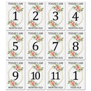 12 Blatt Milestone Baby Photograp Sharing Card Gift Set Baby Age Cards Baby Milestone Cards Baby Photo Cards Newborn Photo Requisiten