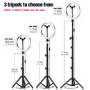 LED Ringlicht 16/20/26cm 5600K dimmbare Selfie Ringlampe mit Stativ Telefonhalter USB Stecker Fotostudio Fotografie Beleuchtung