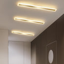 Acryl-Flur-LED-Deckenleuchten für Wohnzimmer Plafond home Lighting Deckenleuchte homhome Beleuchtungskörper Moderner Balkon