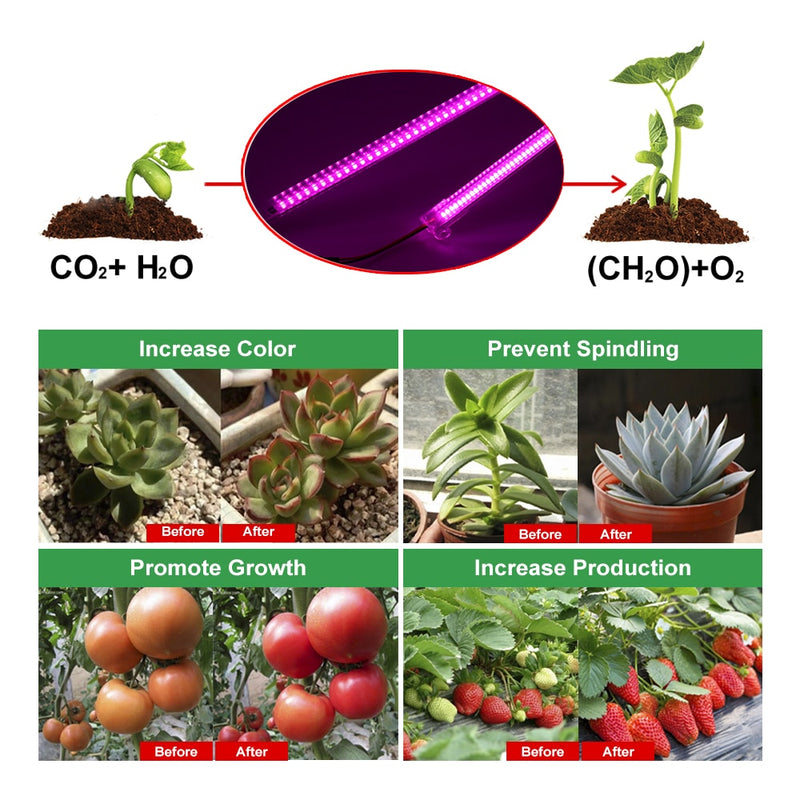 Barra de luz LED de espectro completo para plantas