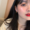 Titanium Geo Earrings Women 361L Stainless Steel Jewelry Punk Party Gown Brincos T Show Runway Rare Korean Japan Style INS