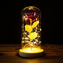 LED Enchanted Galaxy Rose Eternal 24K Gold Foil Flower con cadena de luces en cúpula para decoración del hogar Navidad regalo del Día de San Valentín