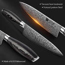 XINZUO 2-teiliges Küchenmesser-Set, 67 Lagen Damaskus High Carbon, 20,3 cm Koch- und 12,7 cm Allzweckmesser, Edelstahl mit Pakkawood-Griff