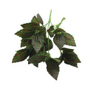 Neue künstliche Sträucher kreative dekorative künstliche Pflanzenfarne Simulationspflanze Kunststoff Blumenfarn Wandmaterial Zubehör