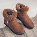 Winter Schnee Stiefeletten Für Frauen Casual Frau Schuh Wildleder Winterstiefel Reißverschluss Weibliche Plüsch Pelzige Stiefel Plattform Botas Mujer