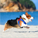 Superhero Series Hunde- und Katzengeschirr, verstellbare Weste, Laufleine für Welpen, Geschirr für kleine, mittelgroße Hunde und Katzen