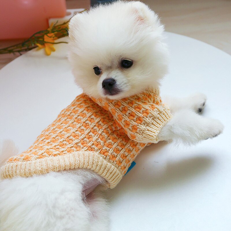 PETCIRCLE, nueva ropa para cachorros de perro, suéter de oblea naranja, Gato apto para perros pequeños, primavera y otoño, traje bonito para mascotas, suéter de tela para perros