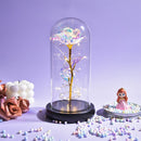 Weihnachtsgeschenk Schönheit und das Biest Konservierte Rosen im Glas Galaxy Rose Blume LED-Licht Kunstblume Geschenk für Frauen Mädchen