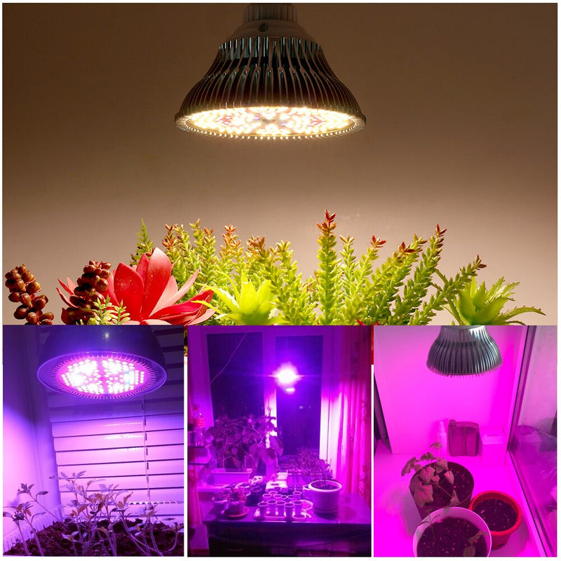 Bombilla LED de 250W para cultivo, bombilla LED E27 para plantas, 200 LED, luces de cultivo de espectro completo similares al sol para plantas de interior, verduras y plántulas