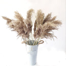 100g dried natural flower bouquets dried natural Lavender flower bouquet&amp;lavender flower Bunches