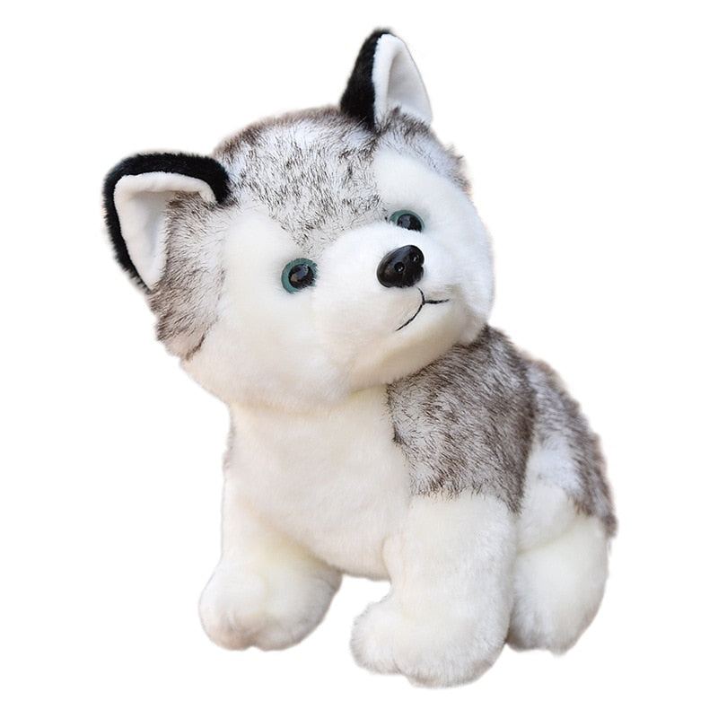 20-30cm süßer Husky Hund Plüschtier Wolf weiches Kuscheltier süßer Plüsch kawaii Kinder Puppe flauschig Geburtstagsgeschenk Kind Junge WJ131