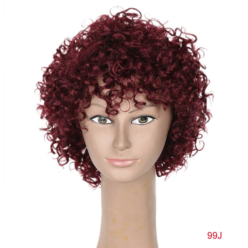 Rebecca Short Loose Curly Wigs For Black Women Brazilian Remy Bouncy Curly Human Hair Wigs Short Wig Blond Red Cosplay Full Wig