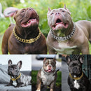 304 Edelstahl Hundekette Halsband und Leine Superstarkes Hundehalsband aus Metall, Choke, Silber, Gold, Haustier-Bleiseil für Partyshow