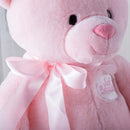 Just Since My 1st Teddy Rosa/Blauer Bär Superweiche Kuscheltiere Plüschtier Teddybär für Babys, 33 cm