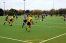HOCKEY-RASEN 