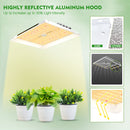 Mars Hydro TS 1000 W Grow Kits Combo mit Indoor Grow Tent Full Spectrum Am besten für Hydro Plant Veg Flower