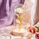 Weihnachtsgeschenk Schönheit und das Biest Konservierte Rosen im Glas Galaxy Rose Blume LED-Licht Kunstblume Geschenk für Frauen Mädchen