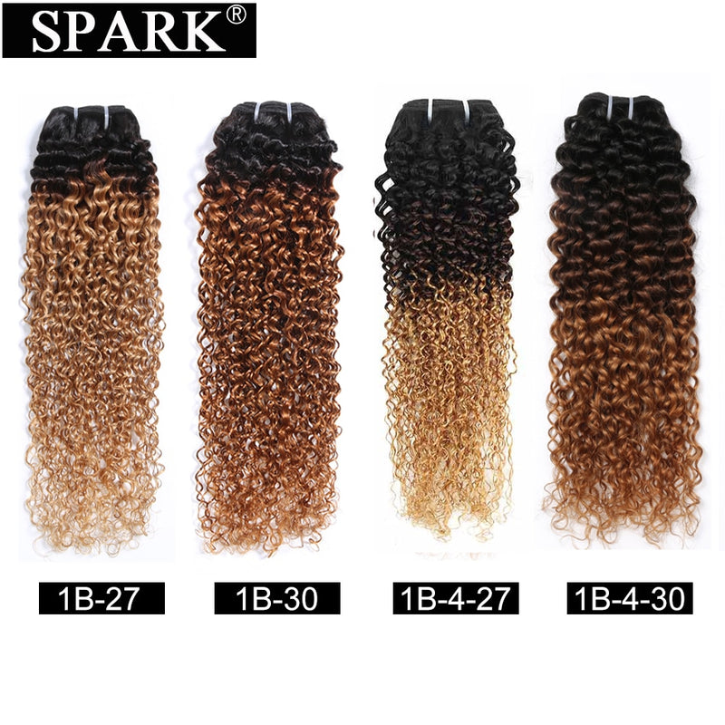 Ombre SPARK Brasilianische Echthaarwebart Bündel mit Verschluss Afro Kinky Curly Hair mit Verschluss Remy Echthaarverlängerungen Schwarz