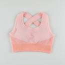 Nahtlose Frauen Set Frauen Sport Gym Anzüge Fitness Sport Langarm Frauen Kleidung