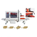 JD-550 CASE PACKING MACHINE