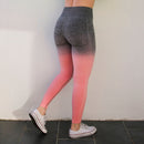 Nepoagym Frauen Ombre Seamless Leggings in TEAL Hoch taillierte Yogahosen Trainingsstrumpfhose Gym Fitness Leggings