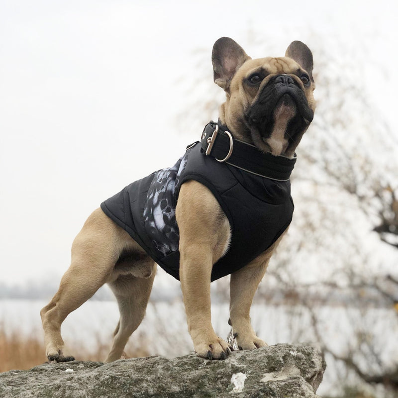 Winter Warme Hundebekleidung Für Kleine Hunde Haustierbekleidung Welpen Outfit Winddichte Hundejacke Chihuahua Französische Bulldogge Mantel Yorkies Weste