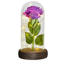 Weihnachtsgeschenk Schönheit und das Biest Konservierte Rosen im Glas Galaxy Rose Blume LED-Licht Kunstblume Geschenk für Frauen Mädchen