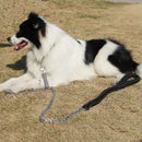 Superstarke Nylon-Hundeleinen Armeegrünes Segeltuch zweireihig verstellbares Hundeleinenseil für mittelgroße Hunde mit Federpuffer