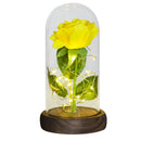 Weihnachtsgeschenk Schönheit und das Biest Konservierte Rosen im Glas Galaxy Rose Blume LED-Licht Kunstblume Geschenk für Frauen Mädchen