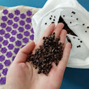 74 * 44 cm Naturleinen Kokospalme Massage Yogamatte Sportkissenmatte mit Tasche Lotus Spike Akupressurmatte Kissen Accupresure Mat