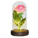 Weihnachtsgeschenk Schönheit und das Biest Konservierte Rosen im Glas Galaxy Rose Blume LED-Licht Kunstblume Geschenk für Frauen Mädchen