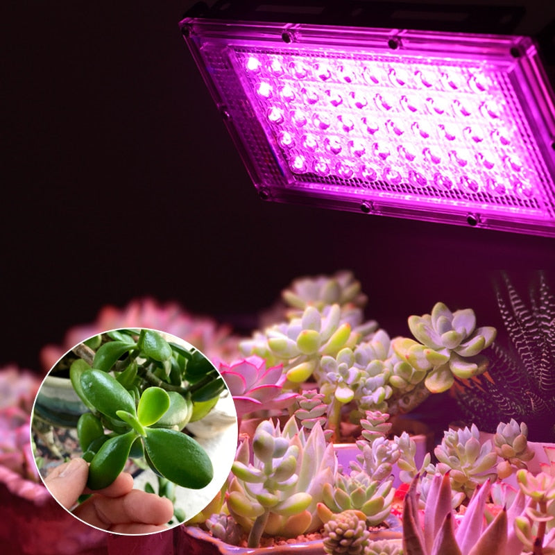 2Pcs 50W 100W LED Flutlicht LED Strahler 220V LED Grow Light PhytoLamp Streetlight Vollspektrumlampe Für Pflanzenwachstumslampe