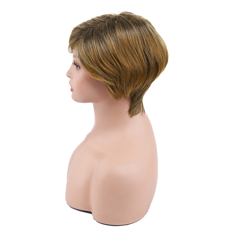 Amir Synthetic Brown Wig Short blonde Wigs Natural Wave Haircut Puffy Straight Hair Wigs for American Africa Women