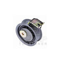 Cummins 3914086  3912322  Belt tensioner