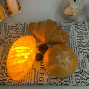 Simulation Bread Croissant LED Night Light Baking Room Bakery Decorations Ornaments Cake Store Showcase Creative Night Lamp